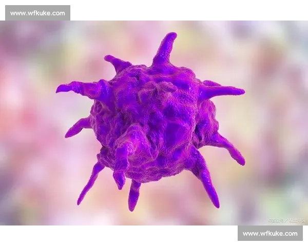 尖锐湿疣的传播途径防治策略及公众健康意识提升研究