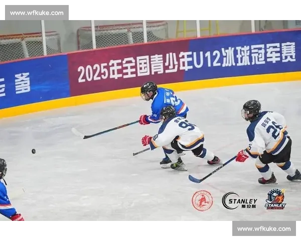 心跳加速！冰球世锦赛冠军，过程比结果更精彩！